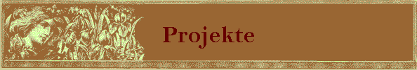 Projekte